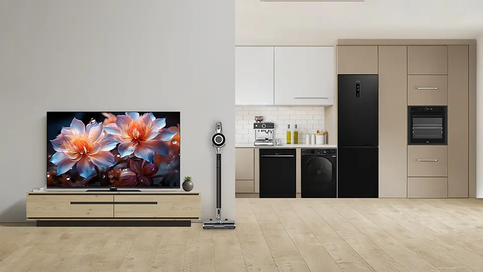 TELEVISION